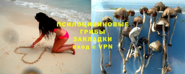 метадон Вяземский