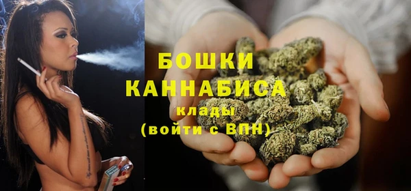 метадон Вяземский