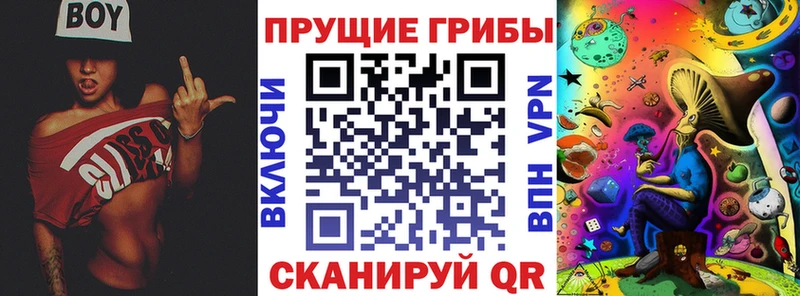 Псилоцибиновые грибы Magic Shrooms  Муром 